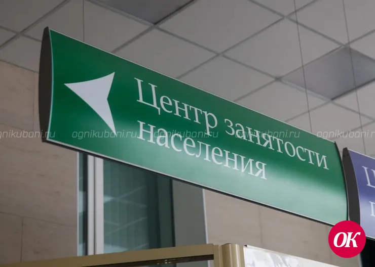 Работодатели, предоставьте отчетность!