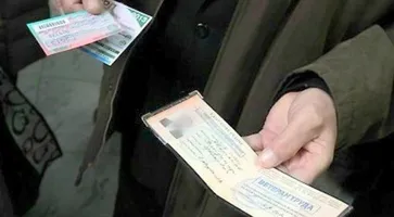 https://ognikubani.ru/wp-content/uploads/2021/12/ognikubani.ru-4
