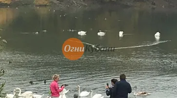 https://ognikubani.ru/wp-content/uploads/2019/10/IMG-20191020-WA0005-1