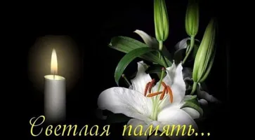 https://ognikubani.ru/wp-content/uploads/2021/11/ognikubani.ru-13