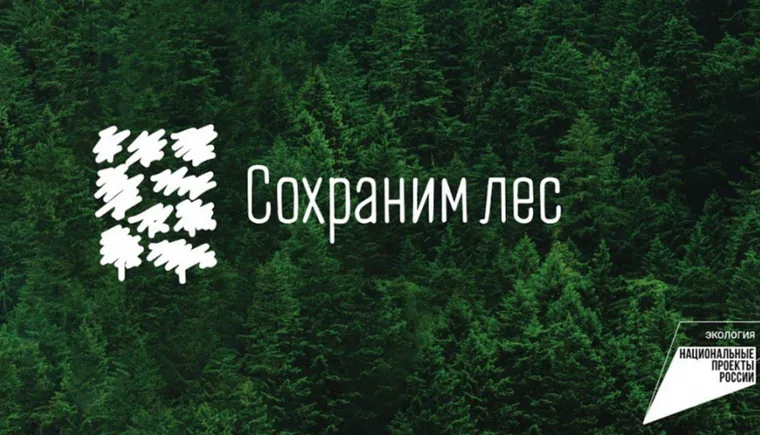 https://ognikubani.ru/wp-content/uploads/2021/10/ognikubani.ru-13-2