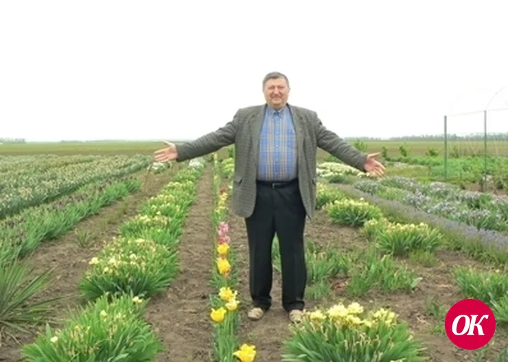 Чудеса не про нас