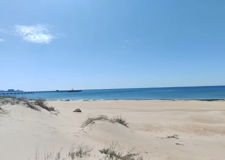 VID_20250417_124900.mp4_snapshot_00.06.015