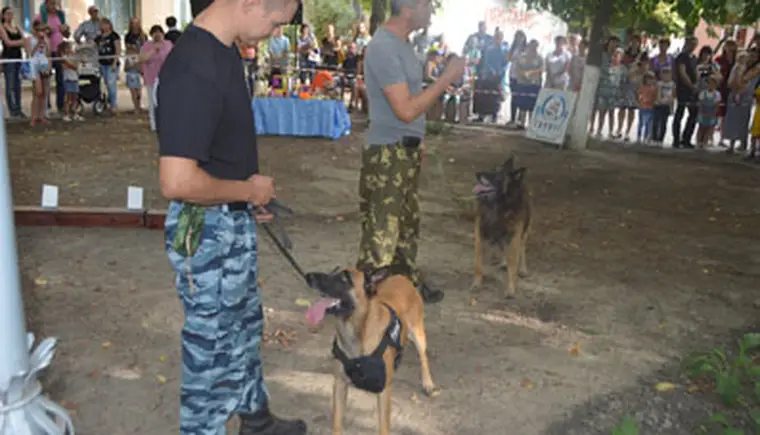 http://www.ognikuban.tw1.ru/wp-content/uploads/2016/09/DSC_0705z1