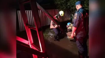 https://ognikubani.ru/wp-content/uploads/2021/08/ognikubani.ru-5-6