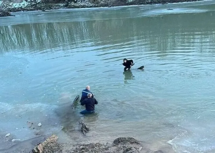 AyptTZQX1aLQlOF2MNdAoWf1KA_U7q3NOEIbJysKw3zfHFKn87aCv5itRPQ6LyOkSQ28mvS_kkTY9AmGxGu8--j8