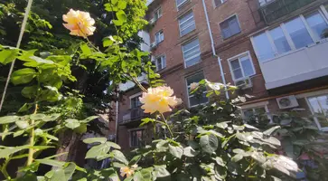 https://ognikubani.ru/wp-content/uploads/2022/06/photo_2022-06-01_16-21-12_1