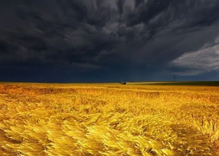 http://www.ognikuban.tw1.ru/wp-content/uploads/2016/06/1407584919_1057293078