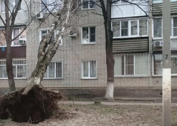 https://ognikubani.ru/wp-content/uploads/2022/03/ognikubani.ru-7-10