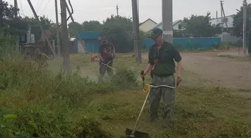 https://ognikubani.ru/wp-content/uploads/2020/07/WhatsApp-Image-2020-07-08-at-14.31.51-1