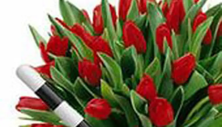 http://www.ognikuban.tw1.ru/wp-content/uploads/2015/07/i123_ss
