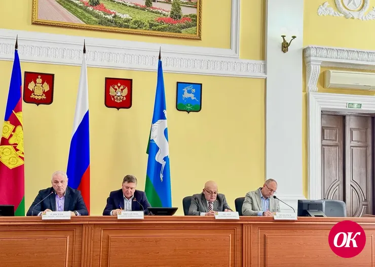 Депутаты города объединяются для решения проблемы бродячих собак