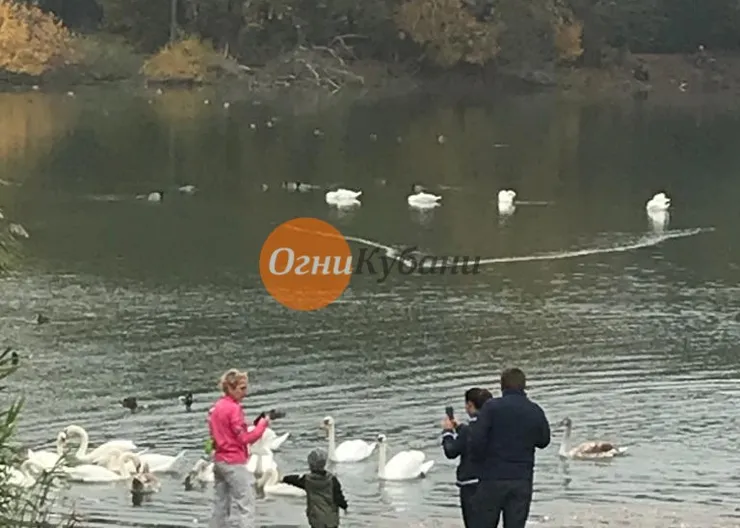 https://ognikubani.ru/wp-content/uploads/2019/10/IMG-20191020-WA0005-1