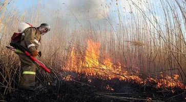 https://ognikubani.ru/wp-content/uploads/2020/09/chrezvychaynaya-pozharoopasnost-sohranyaetsya-na-territorii-vsego-regiona_15895462291125231043__800x800