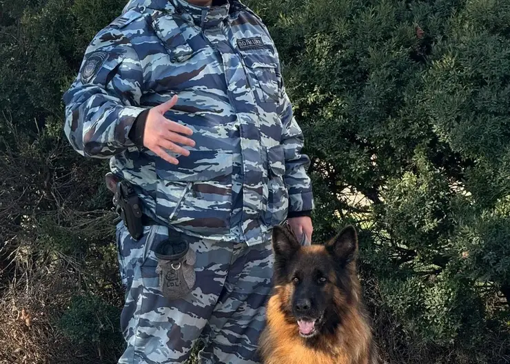 КАЛЕСНИК