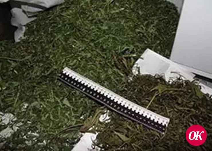 ИЗЪЯТЫ 2 КИЛОГРАММА МАРИХУАНЫ