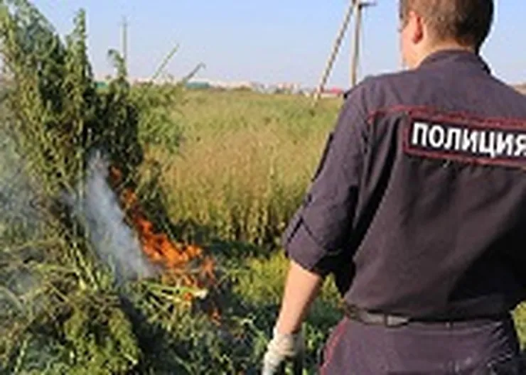 https://ognikubani.ru/wp-content/uploads/2023/07/МАК-1