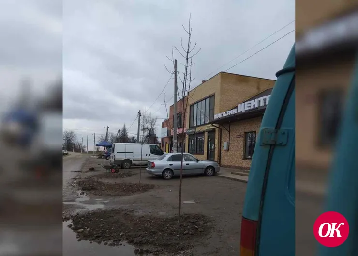 Двадцать кленов и ясеней посадили в минувшую пятницу жители станицы Казанской