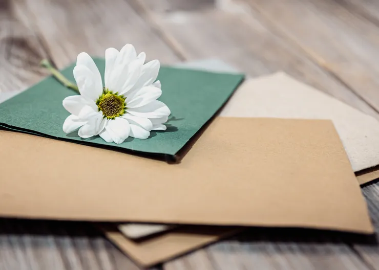 https://ognikubani.ru/wp-content/uploads/2023/02/closeup-of-chamomile-flower-on-envelopes-with-letters_1