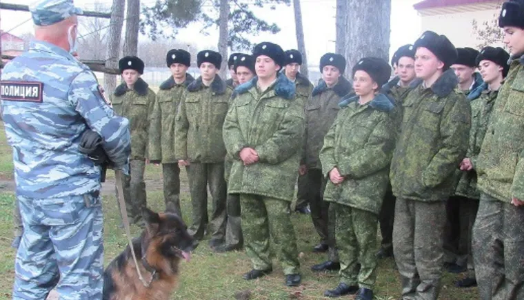 https://ognikubani.ru/wp-content/uploads/2021/12/ognikubani.ru-27