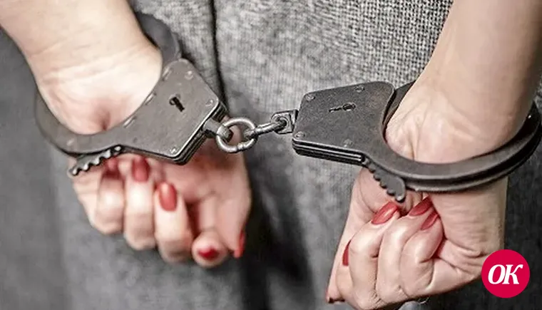 На скамью подсудимых отправлена обвиняемая в хулиганстве