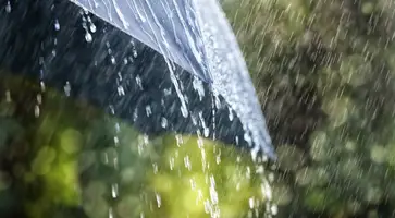 https://ognikubani.ru/wp-content/uploads/2020/05/image18536