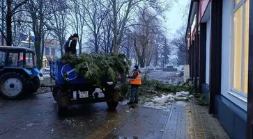 photo_2026-01-12_10-04-37