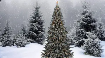 https://ognikubani.ru/wp-content/uploads/2021/11/ognikubani.ru-38