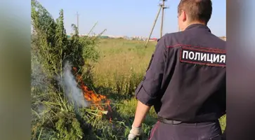 https://ognikubani.ru/wp-content/uploads/2021/08/ognikubani.ru-36