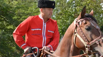 https://ognikubani.ru/wp-content/uploads/2021/09/ognikubani.ru_-12