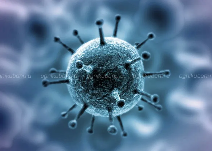https://ognikubani.ru/wp-content/uploads/2020/03/koronavirus