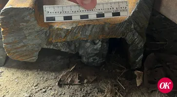 В Армавире транспортные полицейские пресекли кражу рельс на станции Отрадо-Кубанская