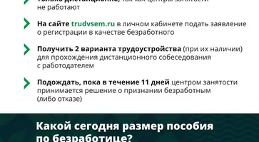 https://ognikubani.ru/wp-content/uploads/2020/04/93714502_232627951314264_7031813124297922506_n