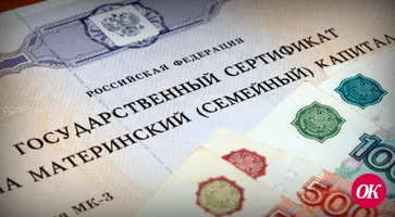 Материнский капитал на первого ребенка, а также жилищные выплаты на детей начнут оформлять уже в марте-апреле 2020-го