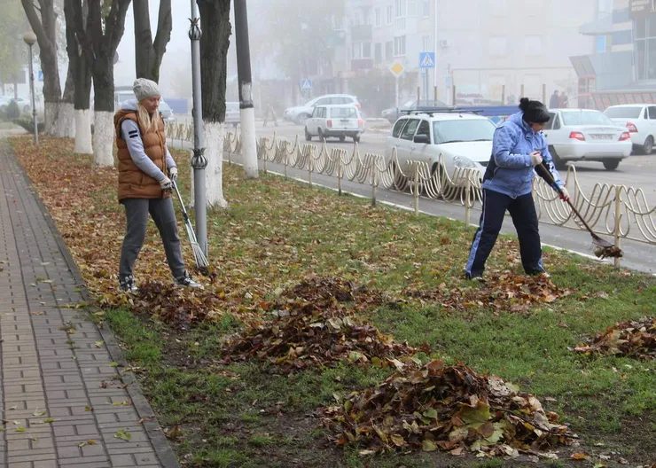 https://ognikubani.ru/wp-content/uploads/2020/11/1-4