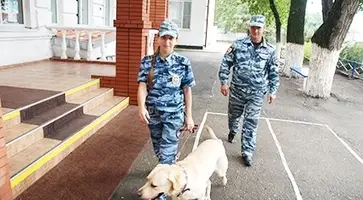 http://www.ognikuban.tw1.ru/wp-content/uploads/2014/09/988765434