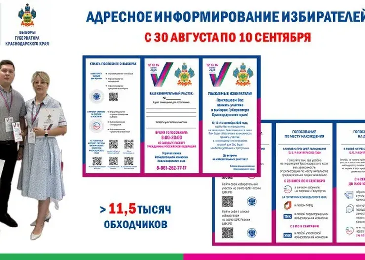 С 30 августа по 10 сентября в Краснодарском крае пройдёт адресное информирование избирателей, в котором примет участие более 11,5 тыс. обходчиков