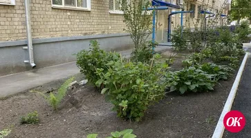 Границы шести из сорока городских органов ТОС расширили